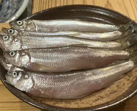 Dinner at Tempura Asanuma (天ぷら浅沼)