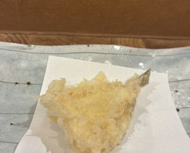 Dinner at Tempura Asanuma (天ぷら浅沼)