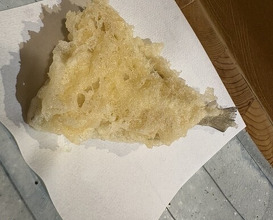 Dinner at Tempura Asanuma (天ぷら浅沼)