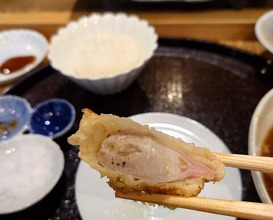 Dinner at Tempura Asanuma (天ぷら浅沼)