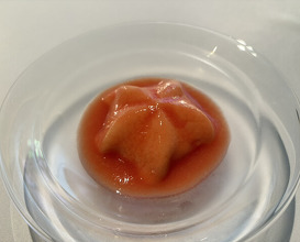 Dinner at Cà sento