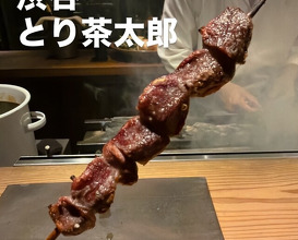 Dinner at Tori Chataro (とり茶太郎)