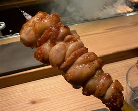 Dinner at Tori Chataro (とり茶太郎)