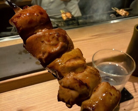 Dinner at Tori Chataro (とり茶太郎)