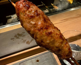 Dinner at Tori Chataro (とり茶太郎)