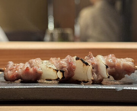 Dinner at Tori Chataro (とり茶太郎)