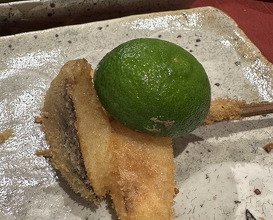 Dinner at kushikatsu daibon (串かつ だいぼん)