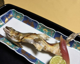 Dinner at Dewa Ya (出羽屋)
