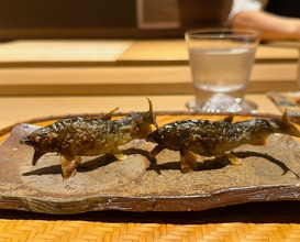 Dinner at Japanese Cuisine Ensui