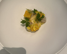 Dinner at ESqUISSE (エスキス)