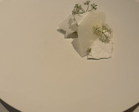 Dinner at ESqUISSE (エスキス)