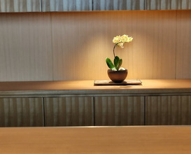 Dinner at Japanese Cuisine FUJI