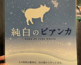Dinner at Tonkatsu Fujii (とんかつ ふじ井)