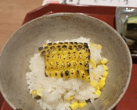 Dinner at Oryori Fujii (御料理ふじ居)