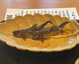 Dinner at Oryori Fujii (御料理ふじ居)