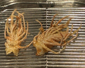 Dinner at Tempura Fukamachi (てんぷら 深町)