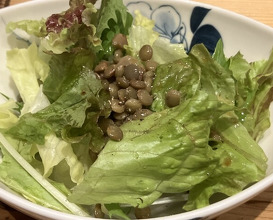 Dinner at Niku Ryori Fukunaga (肉料理ふくなが)