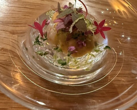 Dinner at Funachef (フナシェフ)