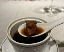 Dinner at Chinese Hanten Fureika (中国飯店 富麗華)