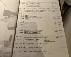 Dinner at Chinese Hanten Fureika (中国飯店 富麗華)