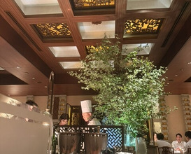 Dinner at Chinese Hanten Fureika (中国飯店 富麗華)
