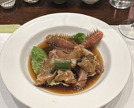 Dinner at Gatagata Ya (潟潟ヤ)
