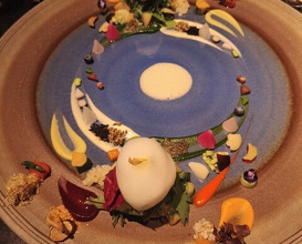 Dinner at HAJIME