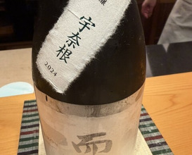 Dinner at Sushi Hashimoto