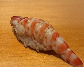 Dinner at Sushi Hashimoto