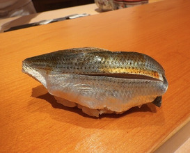 Dinner at Sushi Hashimoto