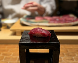 Dinner at HATSUNEZUSHI (初音鮨)
