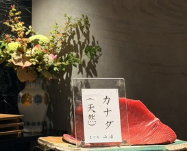 Dinner at HATSUNEZUSHI (初音鮨)