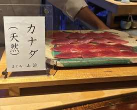 Dinner at HATSUNEZUSHI (初音鮨)