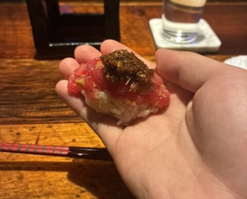 Dinner at HATSUNEZUSHI (初音鮨)