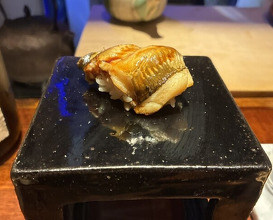 Dinner at HATSUNEZUSHI (初音鮨)