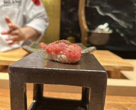 Dinner at HATSUNEZUSHI (初音鮨)