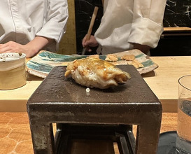 Dinner at HATSUNEZUSHI (初音鮨)