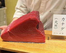 Dinner at HATSUNEZUSHI (初音鮨)
