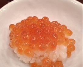 Dinner at Sushi Hidetaka (寿し ひでたか)