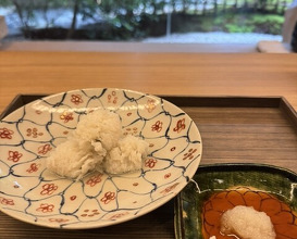 Dinner at Higashiyama Ogata