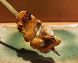 Dinner at Yakitori Higebozu (焼鳥 ひげぼうず)