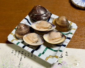 Dinner at Hinode (日の出)