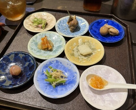 Dinner at Chinese Sai Hinotori (中国菜 火ノ鳥)