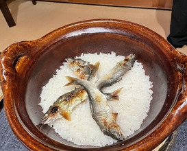 Dinner at Hirasanso