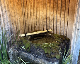 Dinner at Honkogetsu
