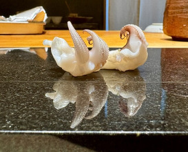 Dinner at Ichikawa (いちかわ)