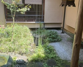 Dinner at Ichirin Hanare