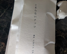 Dinner at Ichirin Hanare