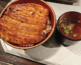 Dinner at Ichi Unagi (一鰻)