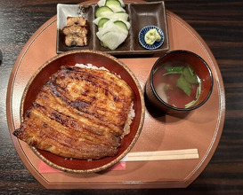 Dinner at Ichi Unagi (一鰻)